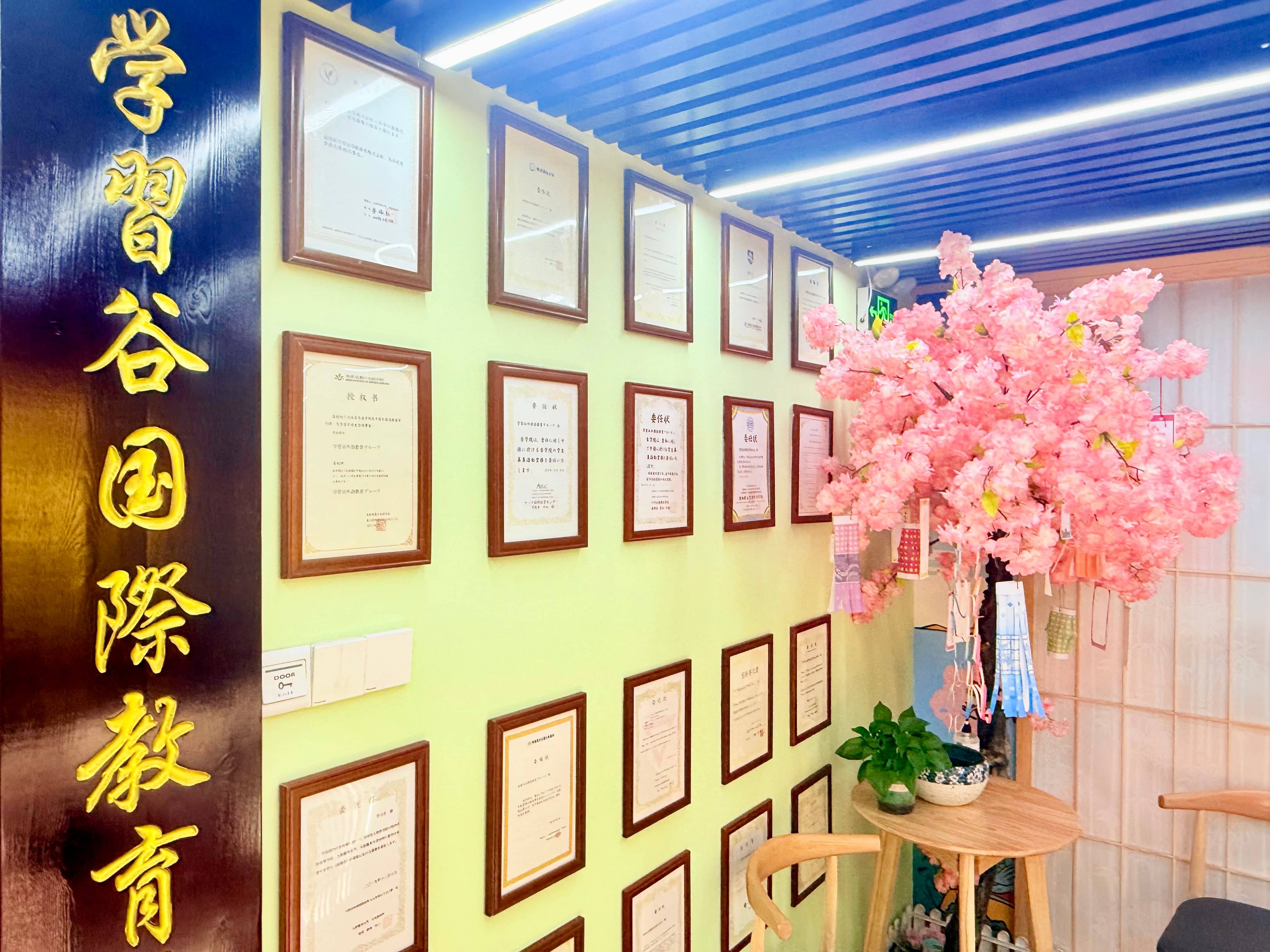 日語培訓價效比深度對比，靠譜機構與省錢攻略全解析