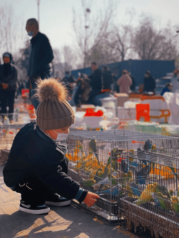 收藏！東營趕集時間地點彙總來了！