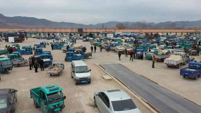 早晨採摘，中午擺上貨架！平泉黃瓜裝進京津“菜籃子”