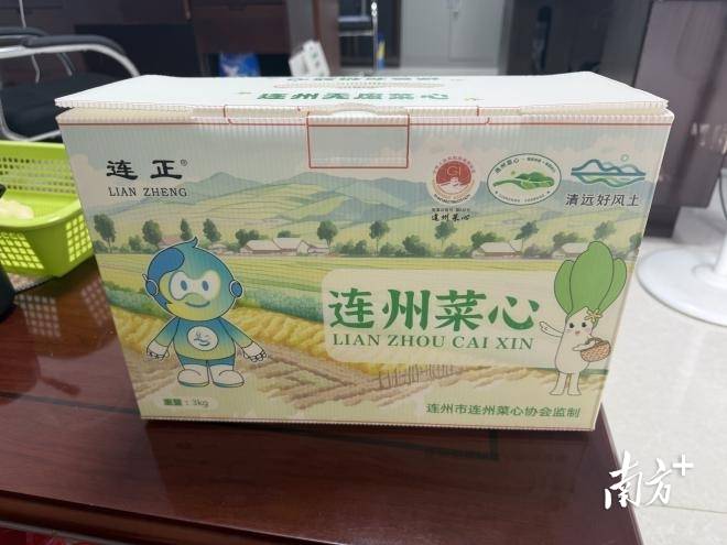 田間裝上“智慧腦”，連州菜心長出科技“芯”