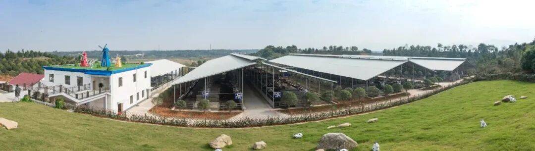 快放假了，美食公司都買些什麼好吃年貨回家？