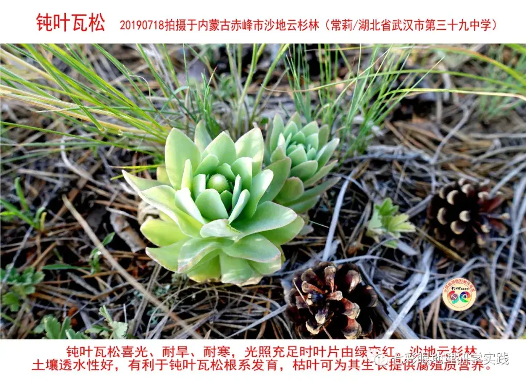 200個地理閱讀和命題的好素材