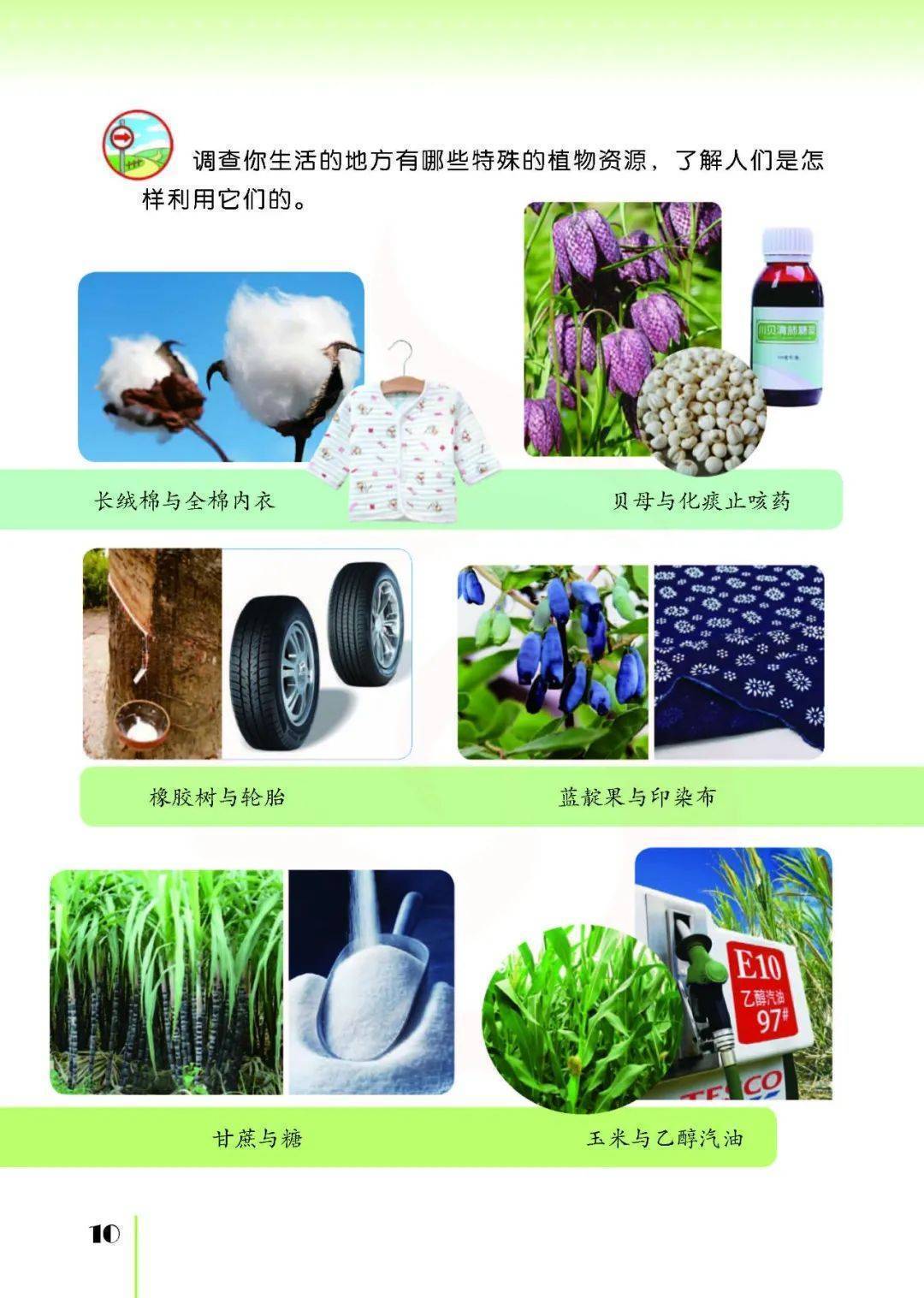 2026蘇教版五年級科學下冊電子課本(PDF高畫質版新教材)