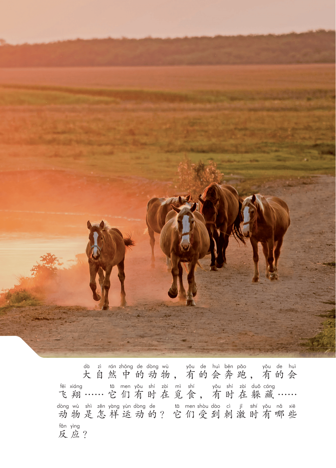 2026青島版一年級科學下冊電子課本(PDF高畫質版新教材)