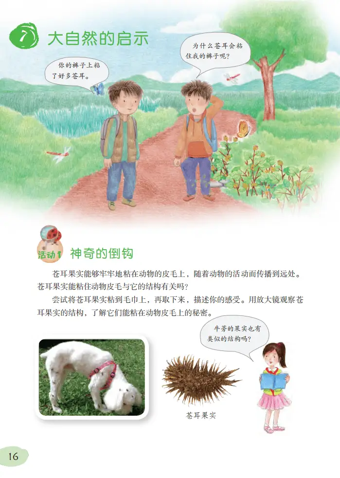 2026粵教版六年級科學下冊電子課本(PDF高畫質版新教材)