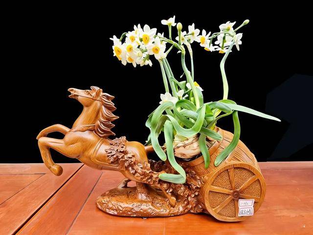 2026年新春水仙花展暨水仙雕刻藝術展亮相濟南公園