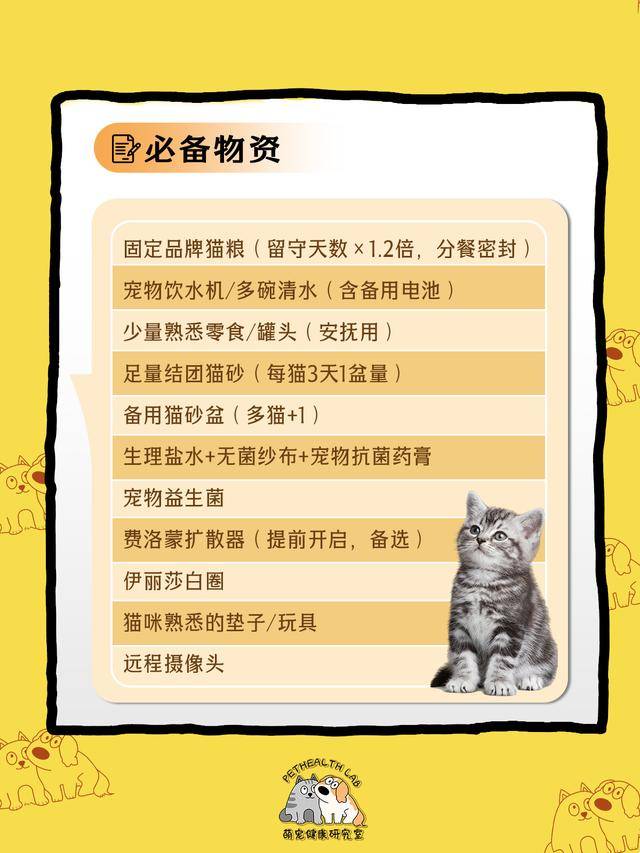 鏟屎官收藏！春節貓咪留守應急清單，對照準備