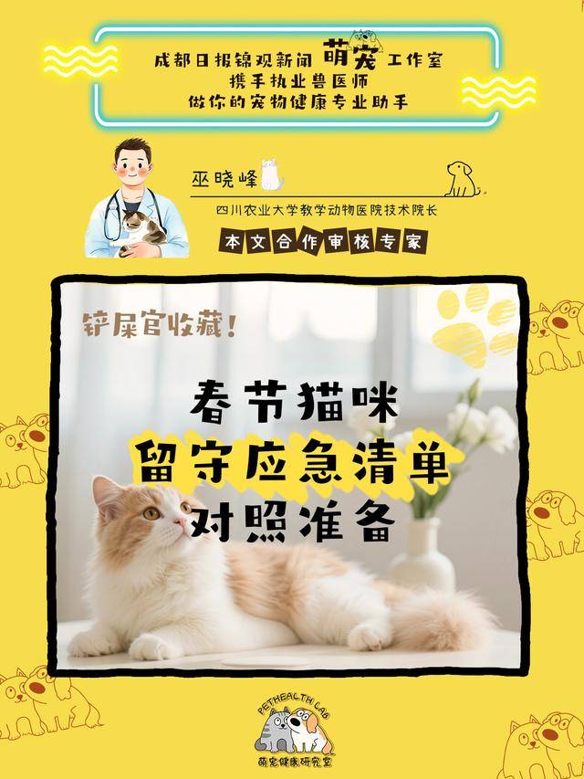 鏟屎官收藏！春節貓咪留守應急清單，對照準備