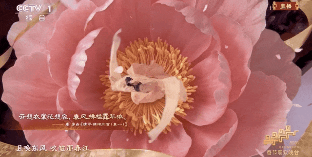 一次看個夠！馬年春晚裡的中式美學與前沿科技，哪些驚豔了你？