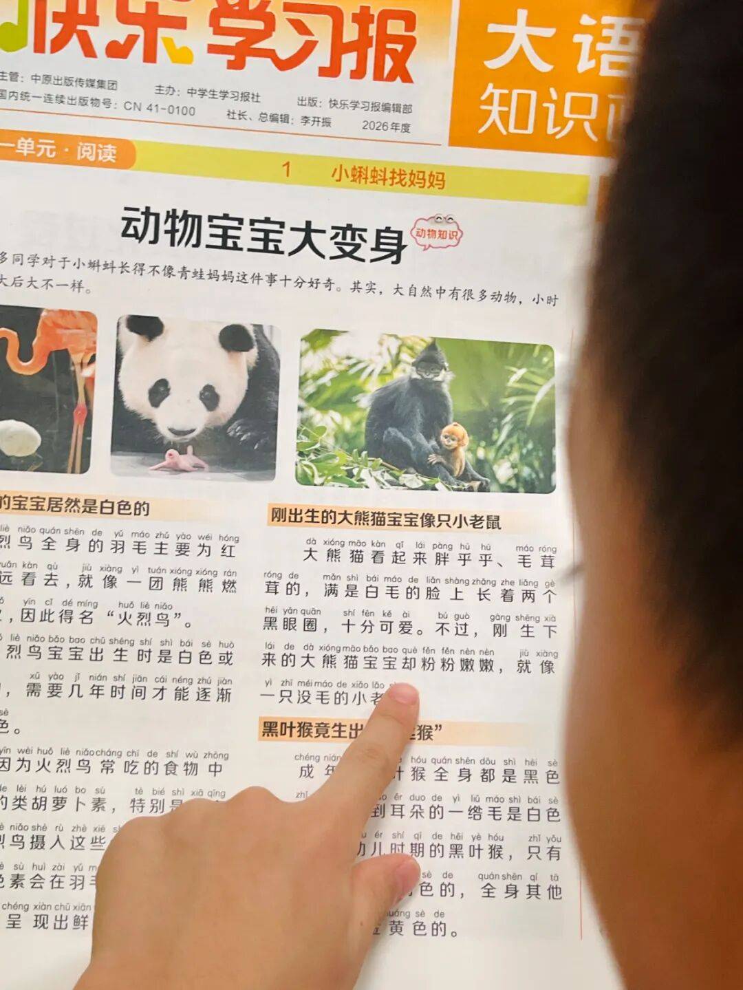 新的隱形攀比，正在小學悄悄流行！老師從來不說，但家長要知道