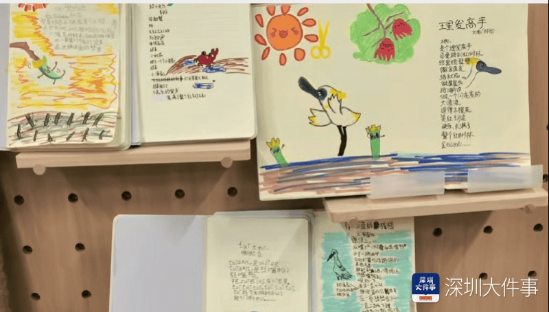 開學第一課，這群深圳小學生帶上爸媽，帶上書本走進紅樹林