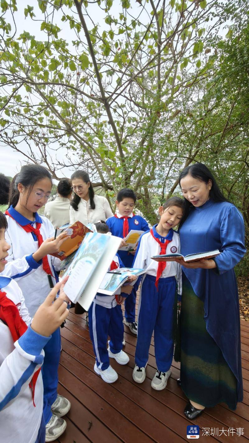 開學第一課，這群深圳小學生帶上爸媽，帶上書本走進紅樹林