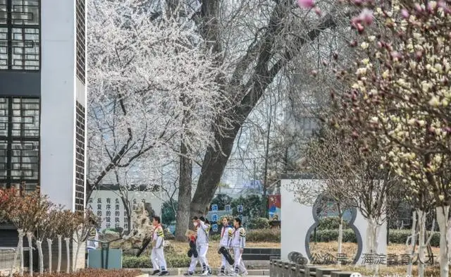 急需！海淀這12所中小幼學校招聘，快來看——