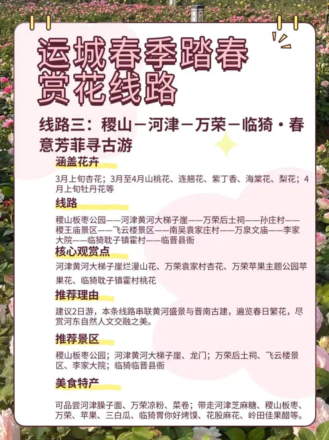 美景+美食！運城踏春賞花路線上新！5條供選！