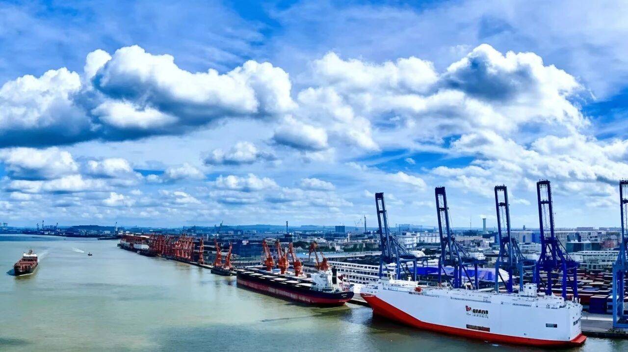 出口反超進口！麻涌新沙港護航“中國智造”汽車出海