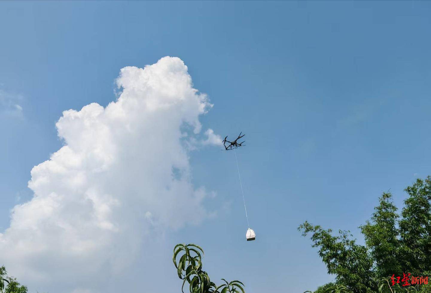 2分鐘“走”完1小時山路，龍泉山水蜜桃將坐上“空中快遞”