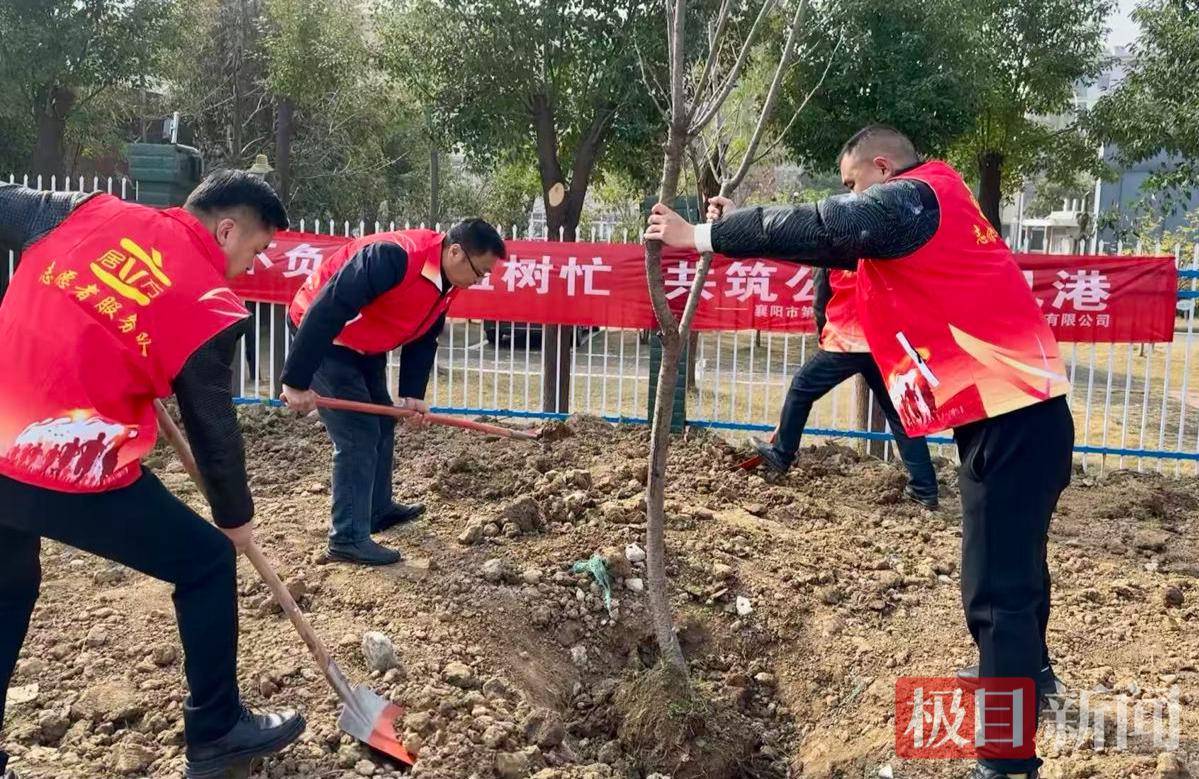 “房子是租的，但生活是自己的！”他們在公租房小區種下“歸屬感”