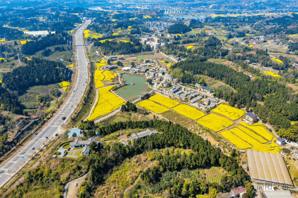石鍾鎮前鋒村：春日盛景啟用鄉村旅遊新動能