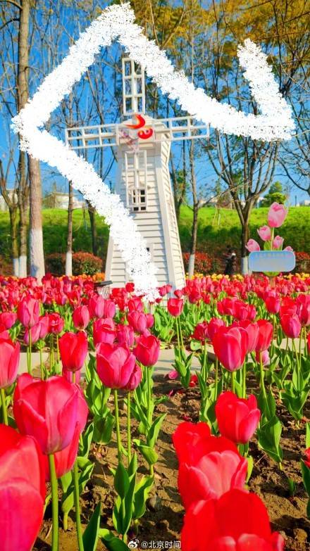 用八筆漢字收藏北京春日