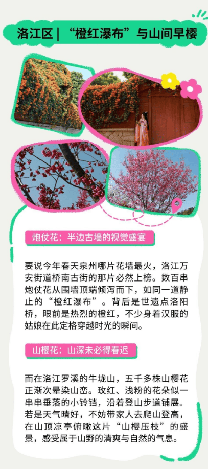 收藏！泉州春日賞花去哪裡？花期+地址全攻略