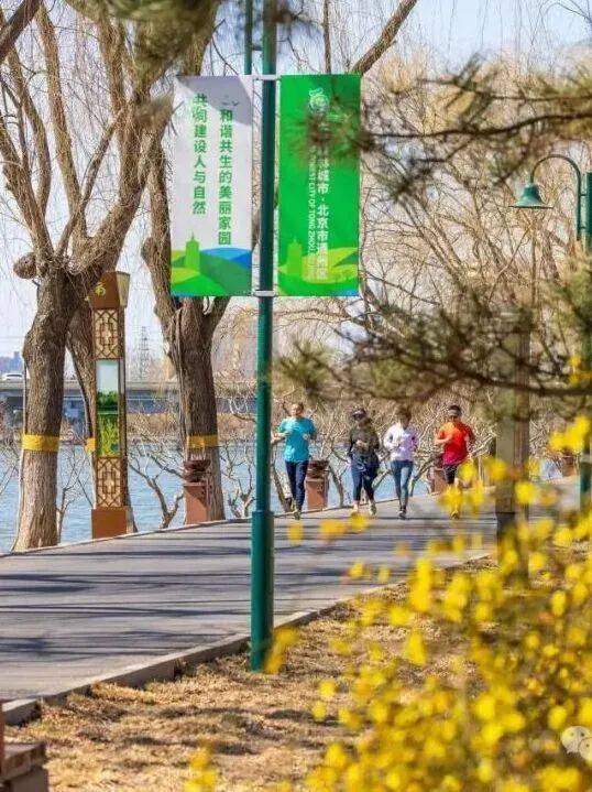 收藏！通州三條綠道上榜北京春花地圖！賞花時間、交通方式…