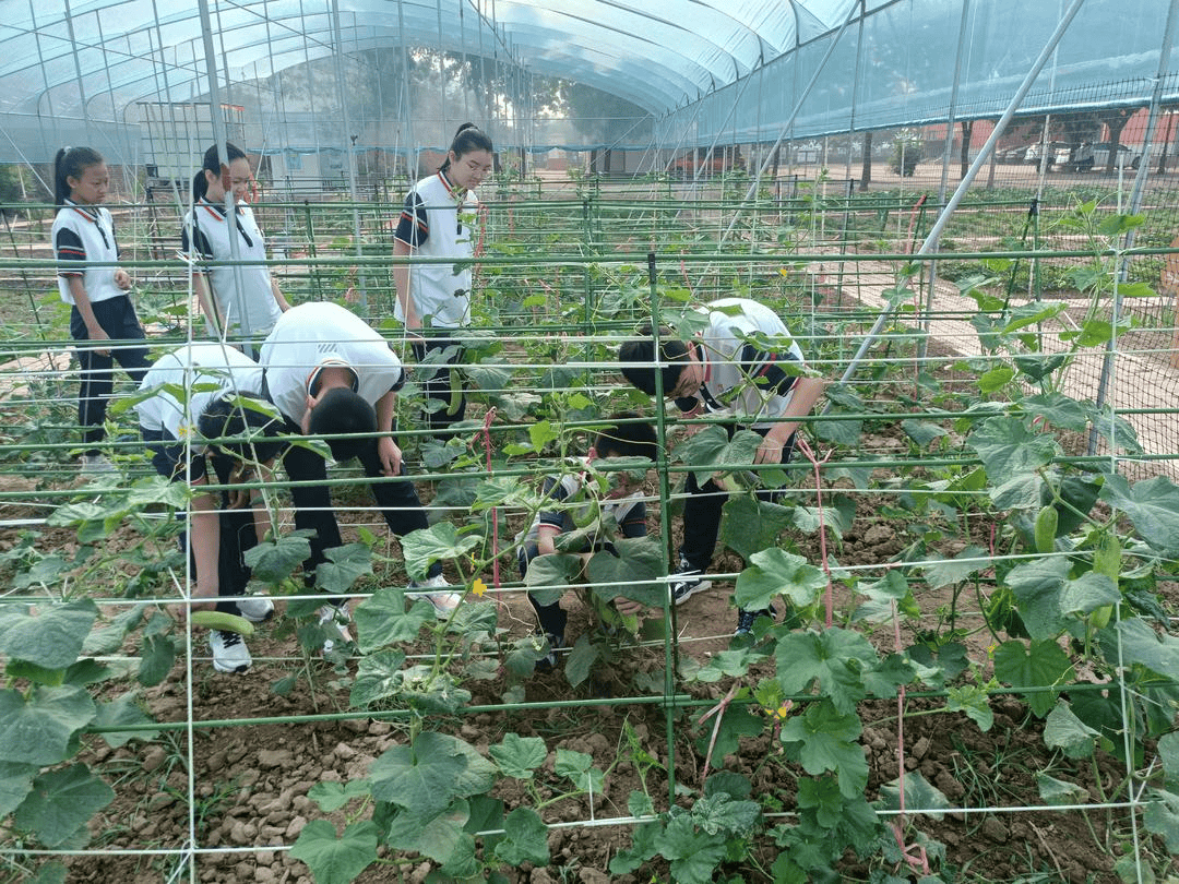 霑化區下窪鎮第一小學以“小切口”做實立德樹人“大文章”