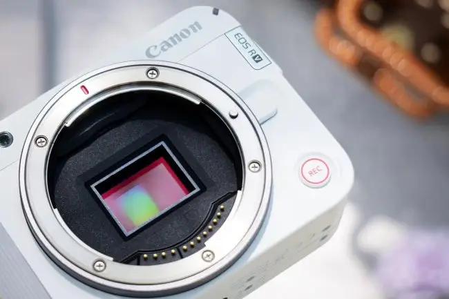 二次元、國風、街頭、美食——佳能R50V用輕巧機身記錄每一面生活