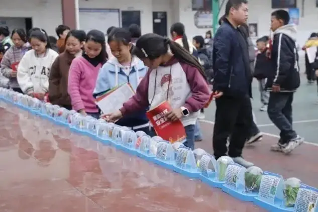 創新打造雙軌課堂！貴州水職院走進清鎮品橋小學開展志願活動