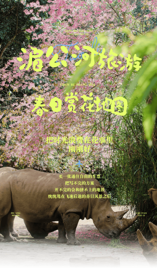 湄公河旅遊春日賞花地圖 | 把時光浪費在花事裡，剛剛好~