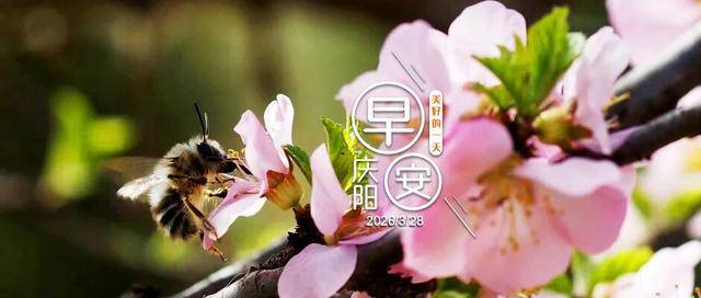 早安慶陽丨甘肅：電子預防接種證，正式上線執行！