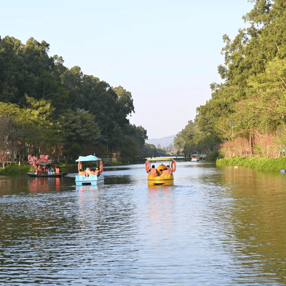別再去人擠人的景區了！廈門這個寶藏地才是春天的正確開啟方式！古風拍照+親子農耕+知青懷舊，趕緊收藏！