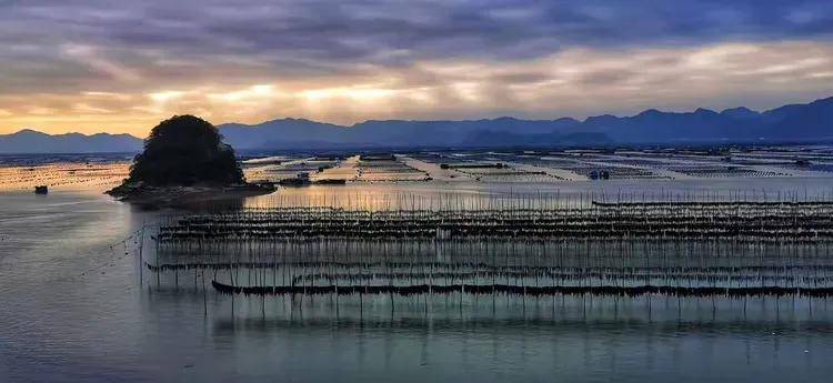平潭島藍眼淚，霞浦海帶季、船𠂆油漆工、惠安女、山腰鹽廠、潯埔女攝影團