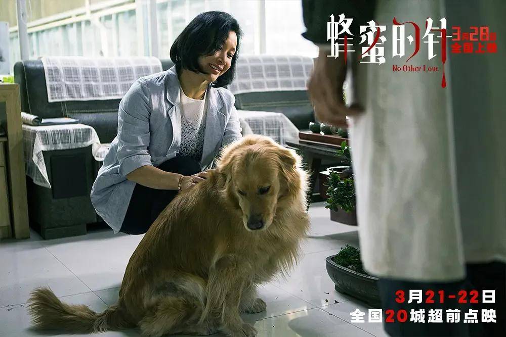 原創殺青十年終上映，袁泉毀容撕眾女…這部“有遺憾”的女性犯罪力作，仍值得被看見！