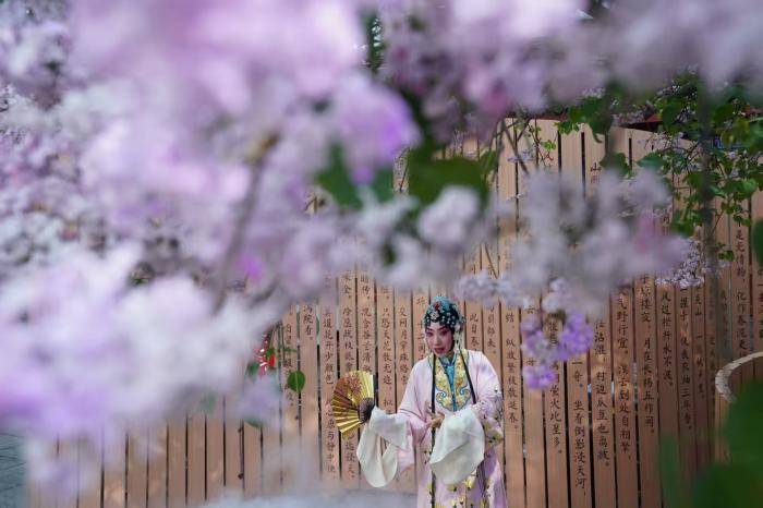 視點｜“百年丁香詩會”西城打造“城市詩歌博物館”