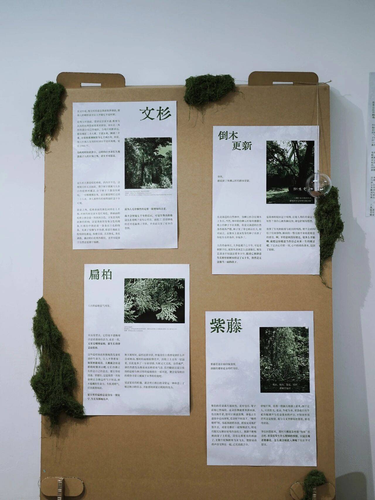 我是最小單位的自然，做書圖書市集出攤！