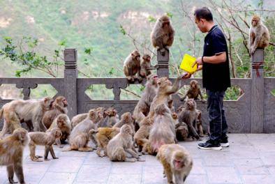 河南廣電×河南旅遊集團 聯合推薦清明省內周邊遊（下）