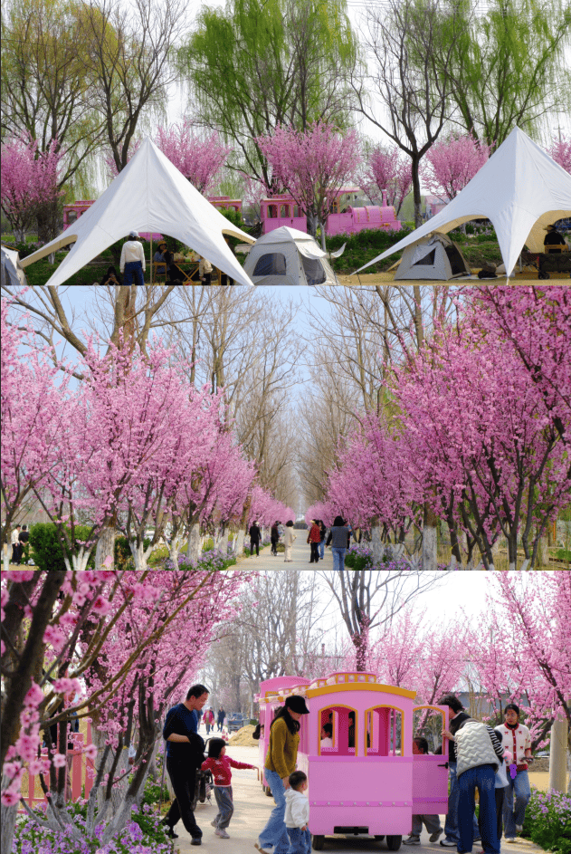 江蘇徐州：“春假+清明”去哪裡？這份“經開六小時”遊玩攻略請收藏！