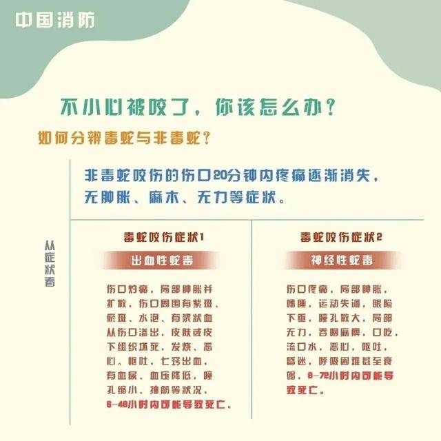 女童被眼鏡王蛇咬傷，“假死”3天后奇蹟生還！