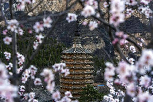 一磚一瓦遇春光，收藏這一幀幀“山河春韻圖”