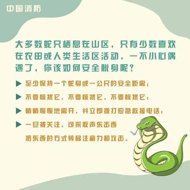 女童被眼鏡王蛇咬傷，“假死”3天后奇蹟生還！