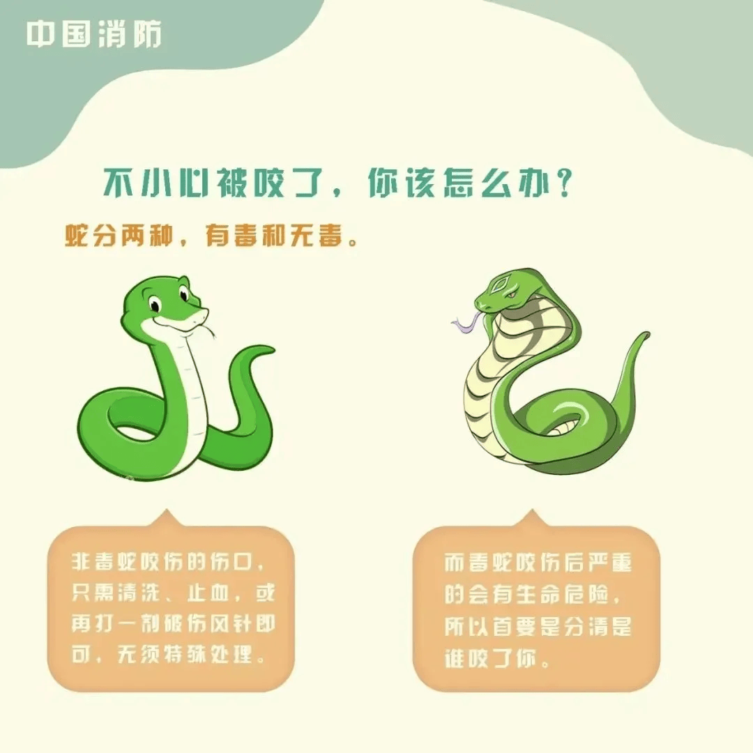 雲南3歲女童被眼鏡王蛇咬傷，“假死”3天后奇蹟生還！