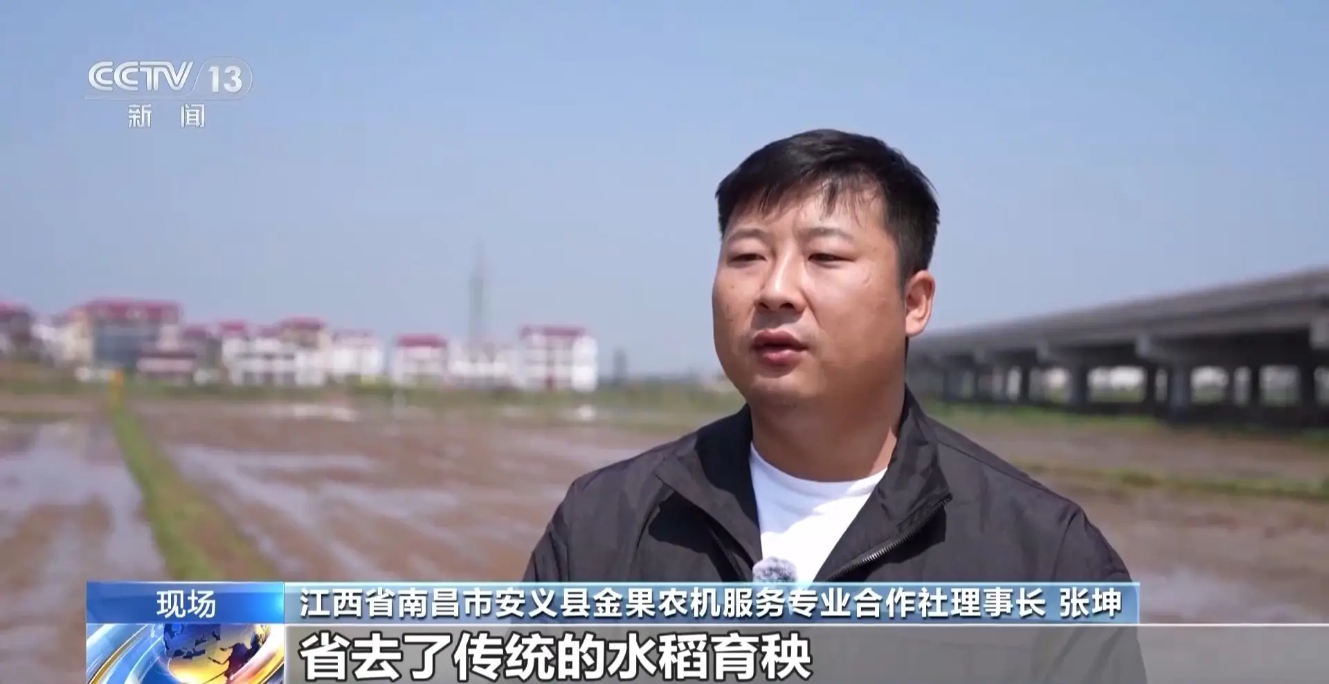 全國早稻育秧已過八成 科技春耕築牢“糧袋子”