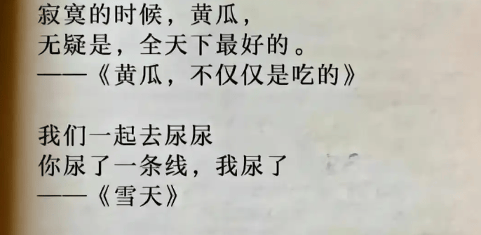 原創賈淺淺被舉報學術作假，論文大面積抄襲，博主喊話西北大學無回應