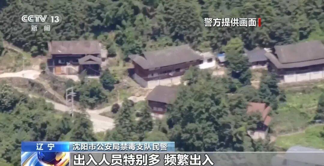 吸食後嘔吐、暈厥、說話磕巴：這種“上勁電子煙”的傷害，不可逆