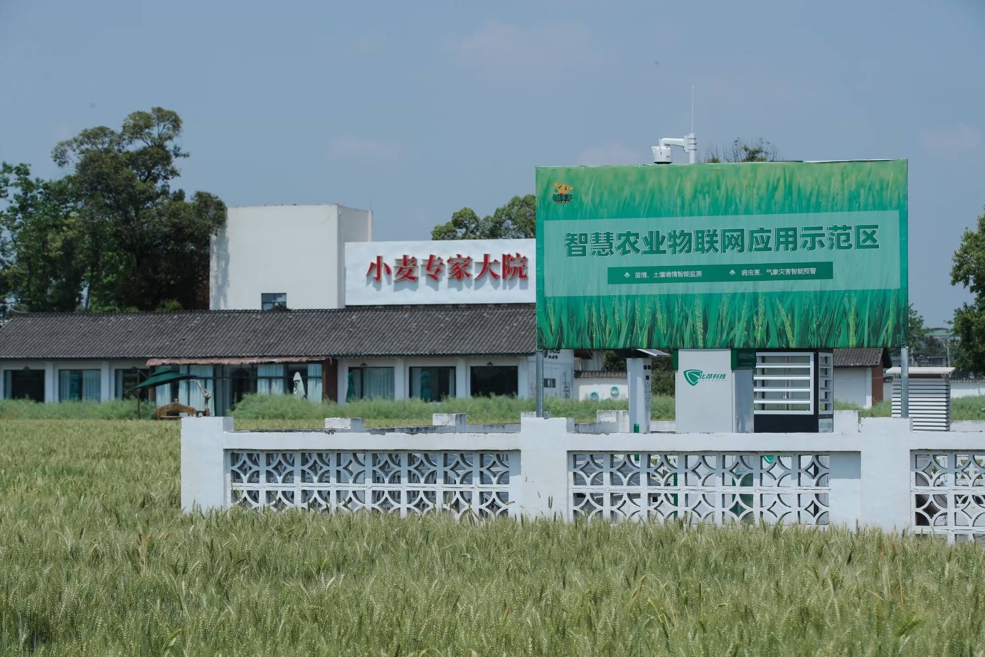 德陽廣漢：用科技“描畫”春耕生產新圖景