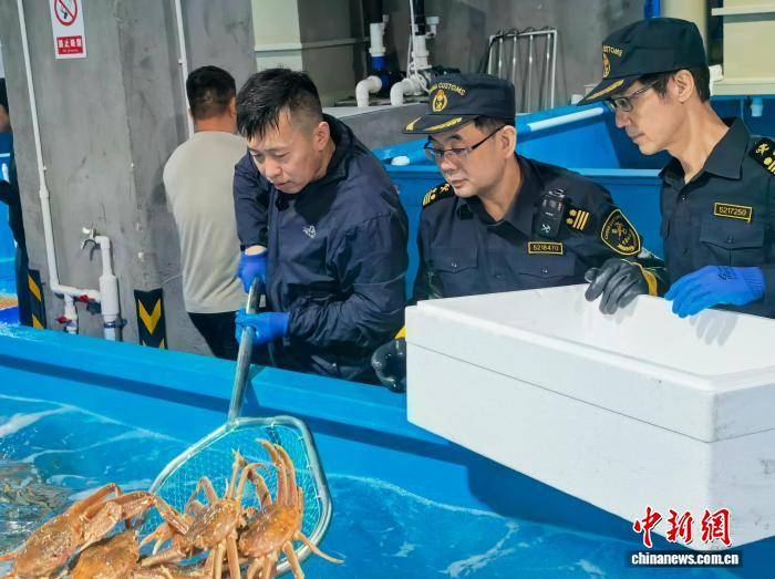 進境海捕蟹保稅倉儲專案落地廣州黃埔綜合保稅區