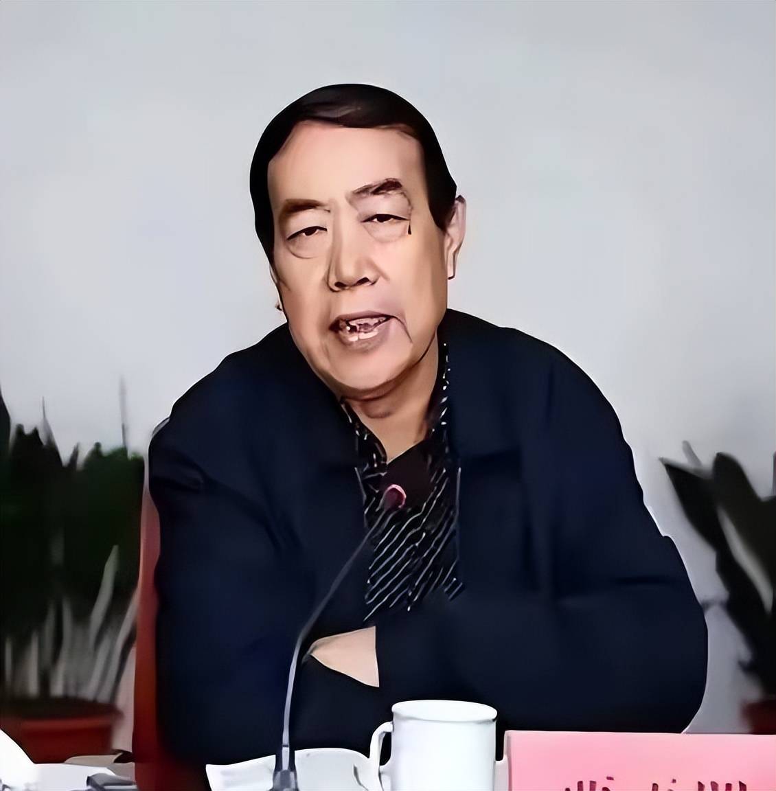 原創研究親爹的論文還要抄？賈淺淺這次沒法淺淺帶過