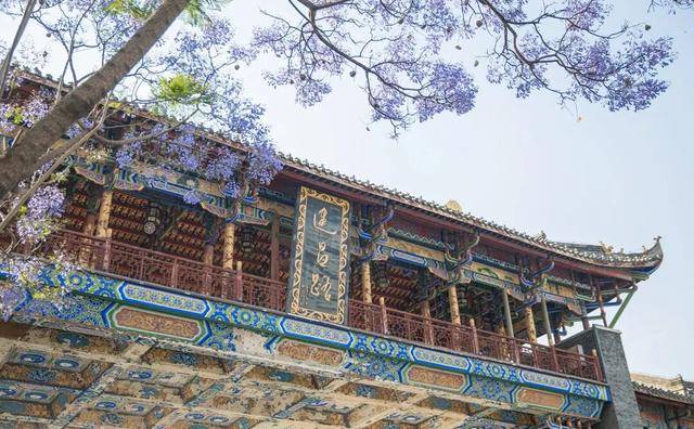 比大理浪漫！比昆明更近！高鐵直達陽光小城，2萬株藍花楹美瘋！觀海登山，美食吃到爽！