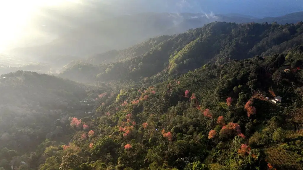 旅遊變旅居、旅創，西雙版納從旅遊目的地升級為可生活、可創業