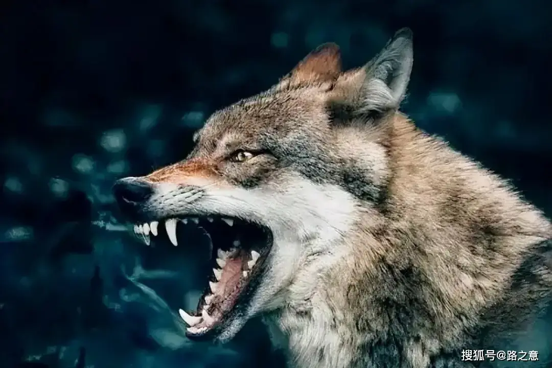 原創疏通機抽出肉皮，1995年昆明“2·27”武成小學教師被害案偵破始末